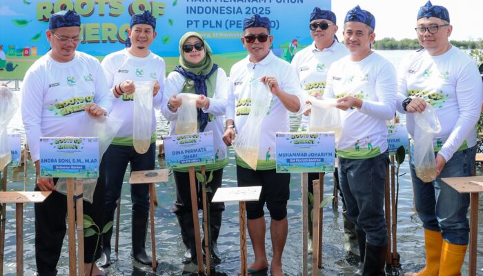 Gubernur Banten Andra Soni Tegaskan Penanaman Mangrove Harus Berkelanjutan, Bukan Sekadar Seremoni