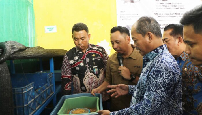 Patra Anyer Guyur Bantuan Pengolahan Magot, Pemkab Serang Siapkan Revolusi Baru Atasi Sampah Organik