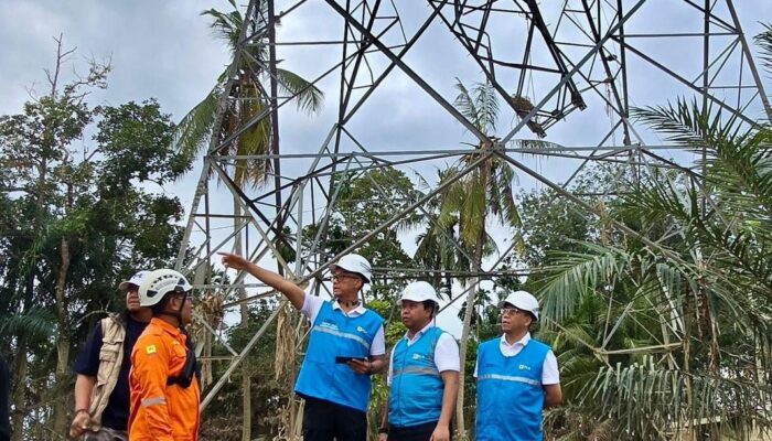 5 Tower Roboh, PLN Kerahkan 1.476 Pasukan: Operasi Darurat Selamatkan Listrik Aceh