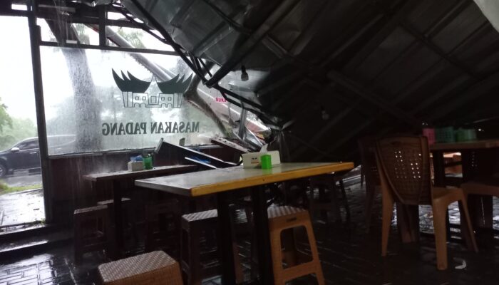 Hujan Disertai Angin Kencang Tumbangkan Pohon di Kafe Bonakarta Cilegon, BPBD Pastikan Nihil Korban Jiwa