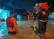 Hujan Seharian Terjang Cilegon: Pohon Tumbang Hancurkan Rumah dan Ruko, Banjir Rendam Puluhan KK