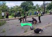 Akar Lapuk Renggut Nyawa: Mahasiswa Asal Tangerang Tewas Tertimpa Pohon di Jalan Raya