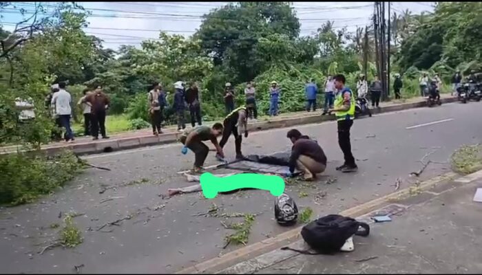 Akar Lapuk Renggut Nyawa: Mahasiswa Asal Tangerang Tewas Tertimpa Pohon di Jalan Raya