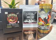 Kopi Juhut Mendunia, PLN UID Banten Sabet Penghargaan Emas SDGs 2025