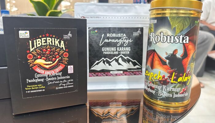 Kopi Juhut Mendunia, PLN UID Banten Sabet Penghargaan Emas SDGs 2025