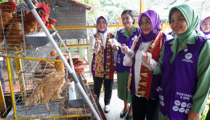 Tinawati Tegaskan Posyandu Garda Terdepan Pelayanan Dasar