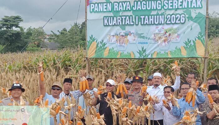 DKPP Kabupaten Serang bersama Polres Panen Raya, Dukung Swasembada Pangan Nasional