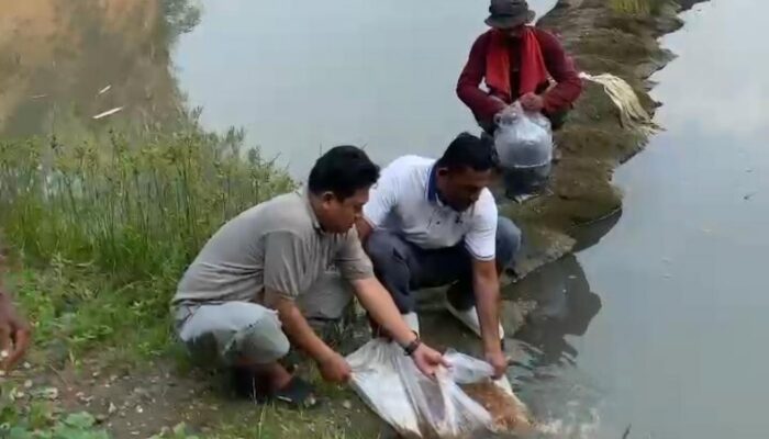 Tebar 50 Kg Ikan di Bekas Galian C, Polisi dan Pengusaha Komit Pulihkan Lingkungan Ciwandan