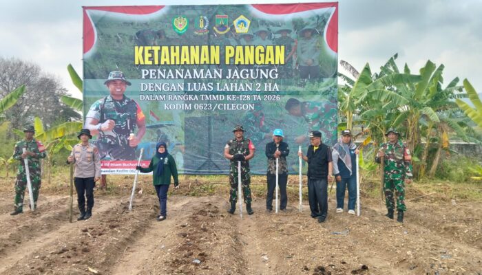 TMMD Kodim 0623/Cilegon Garap 2 Hektare Jagung, Dandim: Perkuat Ketahanan Pangan di Tengah Dinamika Global