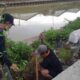 212 Ribu Pohon Tertanam, Gerakan Banten Teduh Tangerang Sejuk Kian Dekat Wujudkan Target 1 Juta Pohon
