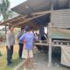 Puluhan Kambing Milik Warga Pontang Dicuri, Polisi Buru Pelaku