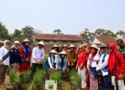 Kampung Hortikultura IWAPI di Kabupaten Serang Jadi Pilot Project, Bupati Serang Dorong Replikasi ke Desa Lain